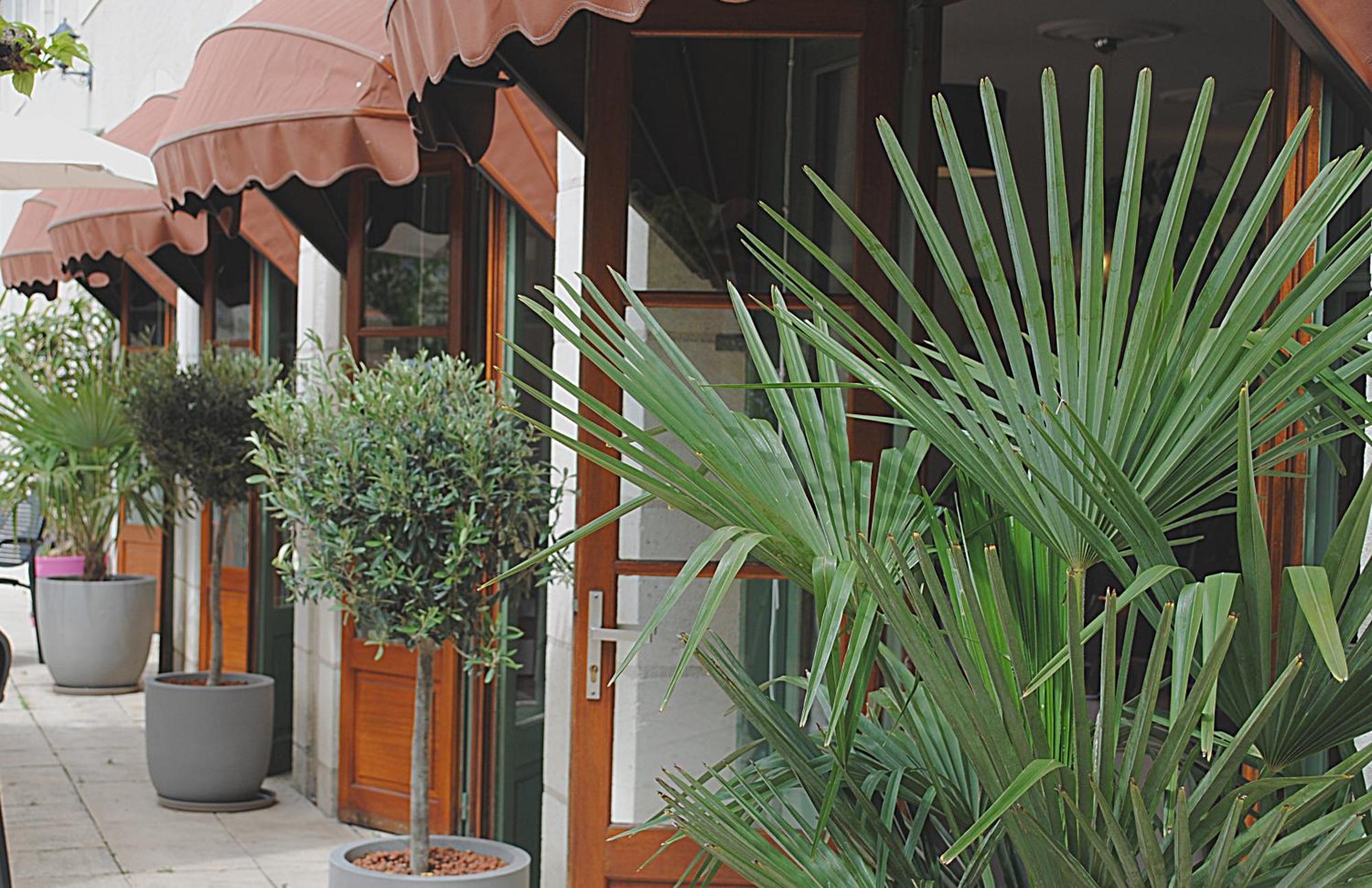 Logis Hostellerie Du Perigord Vert ブラントーム エクステリア 写真